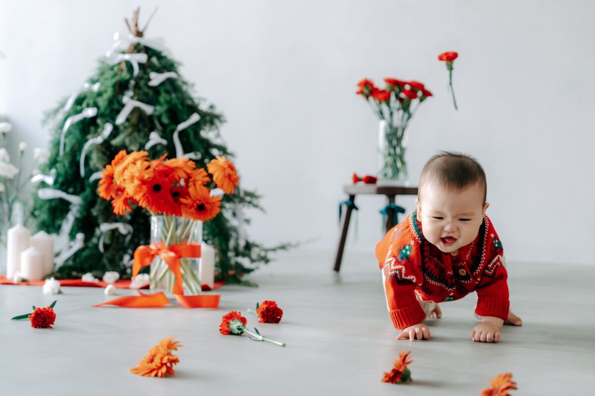 奈良市内にある、フォトスタジオスーベニアスタジオの家族写真・ファミリーフォト・バースデーフォト・七五三・ニューボーンフォト・ハーフバースデーフォト、クリスマス撮影イベント