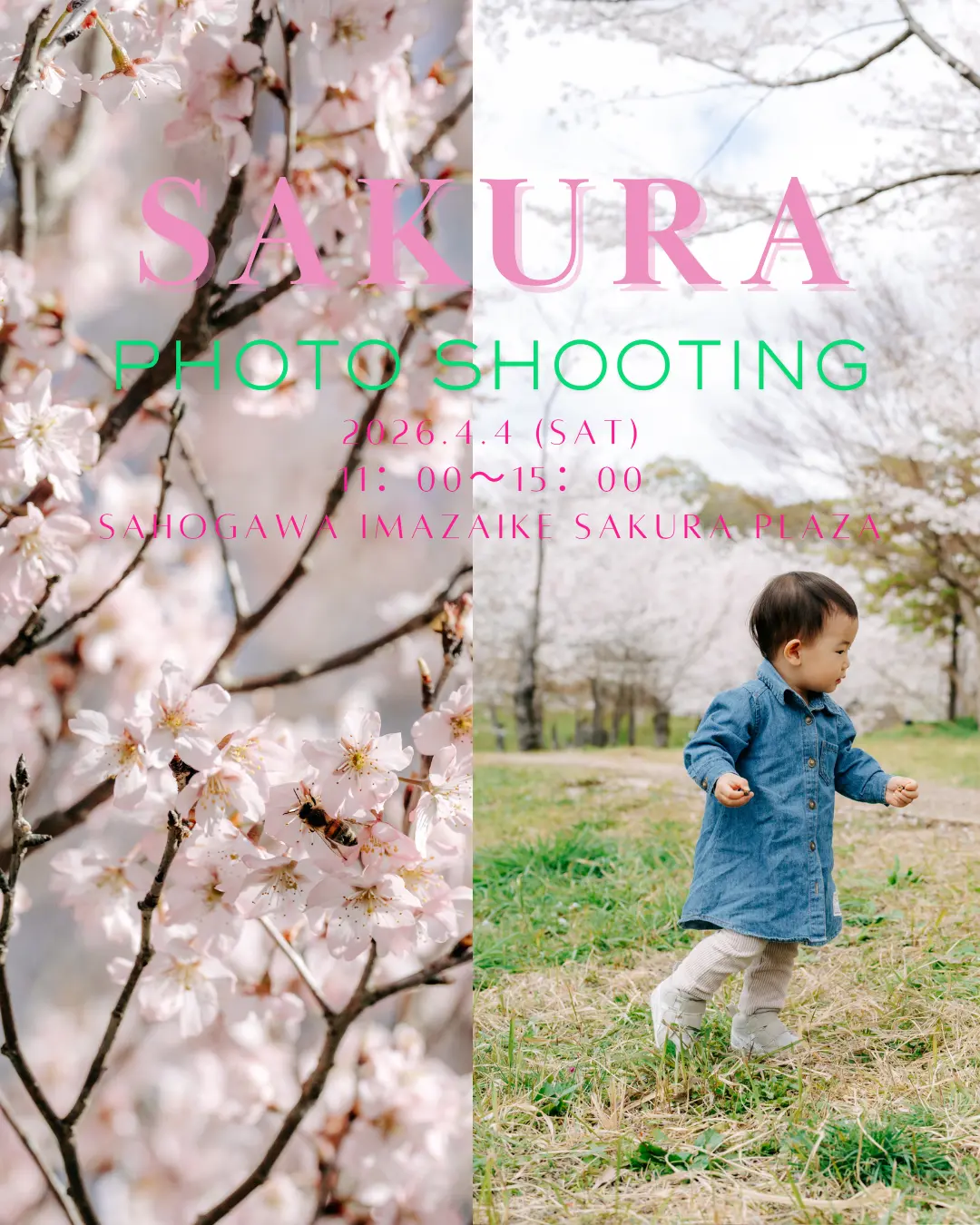 春のさくら撮影会